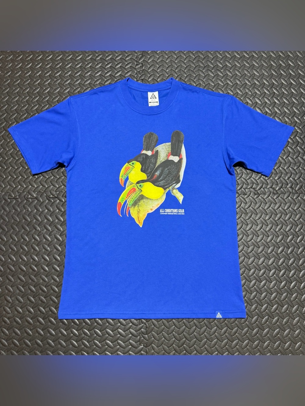 Nike ACG Tee Shirt Corcovado Costa Rica Toucan Blue HJ0792-480 Mens Small NEW